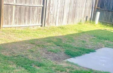 Cheerful 3 Bdrm space, 2 bath!. You gotta love it! - Photo 42