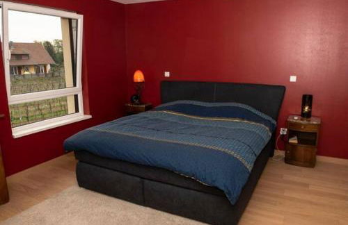 Superbe Maison Jacuzzi+Piscine au cœur des vignes - Foto 14