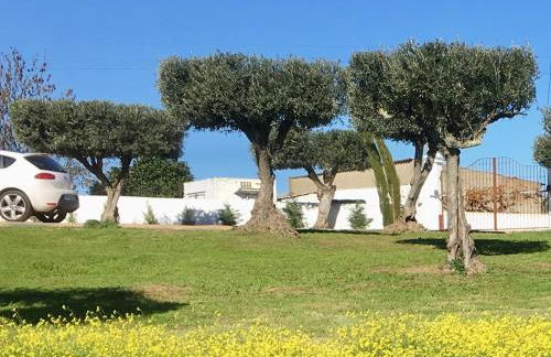 Aleixo's House | Alentejo - Foto 41