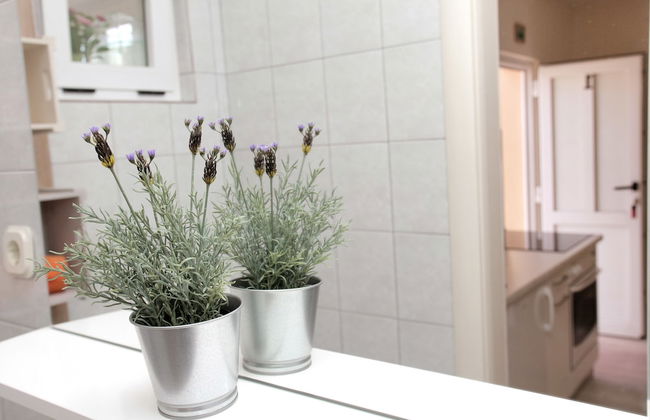 Apartments Viki - Photo 58