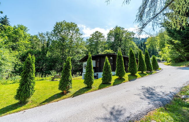 Chalet in Worgl Near Ski Bus Stop - Photo 27
