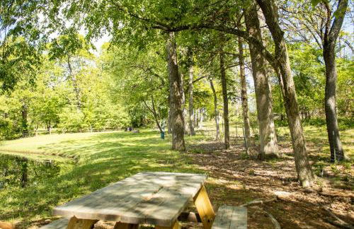 Clyde's Cabin with a private Hot Tub - Foto 18