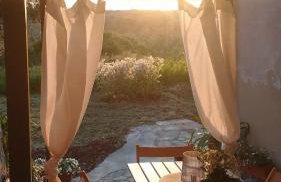 La Libellula - Photo 1