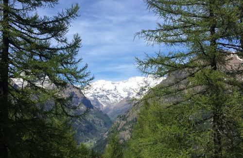 Baite Cialvrina - Foto 22