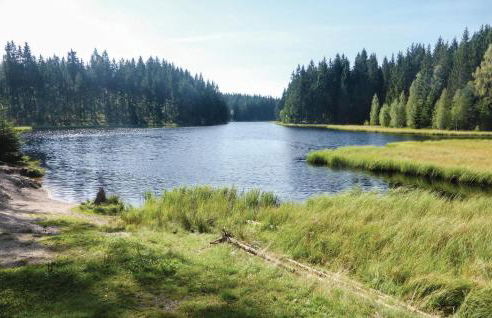 Cozy Apartment In Auerbach Ot Grünheide - Foto 20