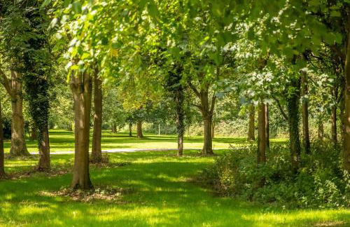 The Ski Club - Foto 40