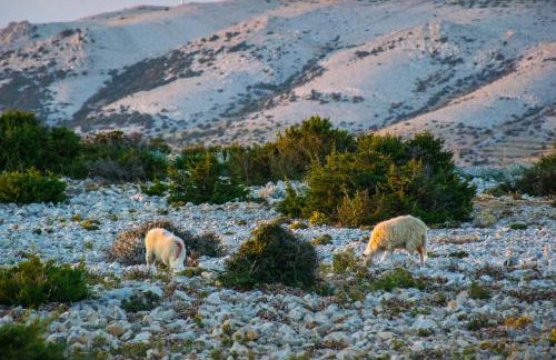 Apartment Rino, only 30m from the sea - Foto 50