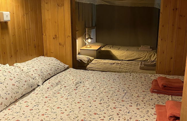 Dawn Chorus Holidays - Foto 47