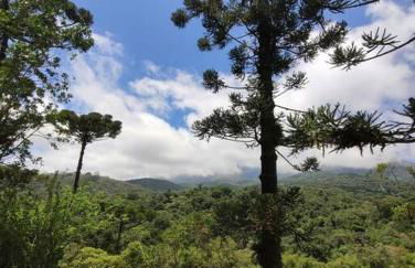 Linda casa em Visconde de Mauá perto da cachoeira - Foto 20