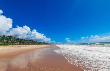 Chalé Beira-Mar com Piscina Privativa e Varanda em Barra do Jacuípe - Foto 26
