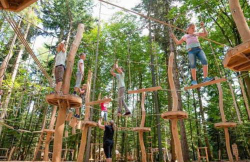 Ferienwohnung, Fischerbach im Kinzigtal - Foto 33