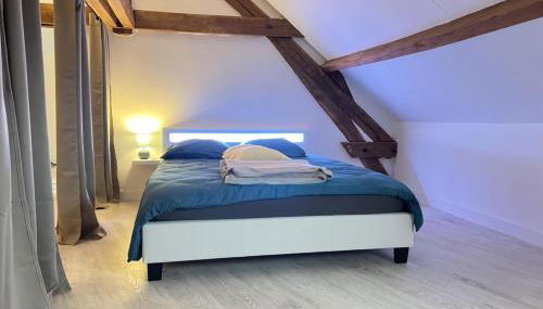 L armurerie - Appartement centre ville de Sens - Foto 5