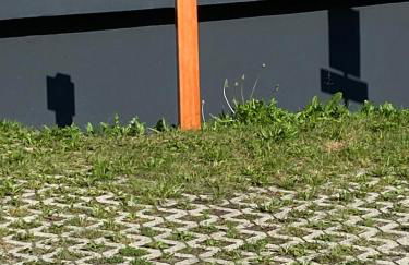 Maison Eglantine - Foto 36