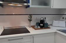 Monte do Rochinha - Foto 41