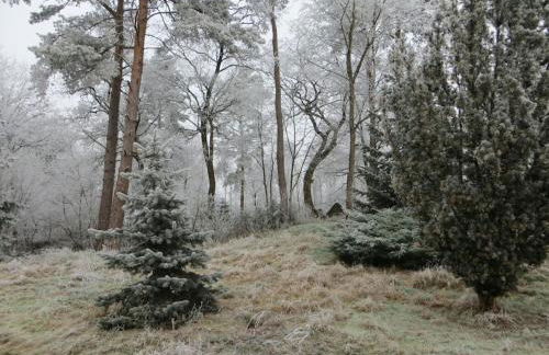 One-bedroom apartment - Foto 5