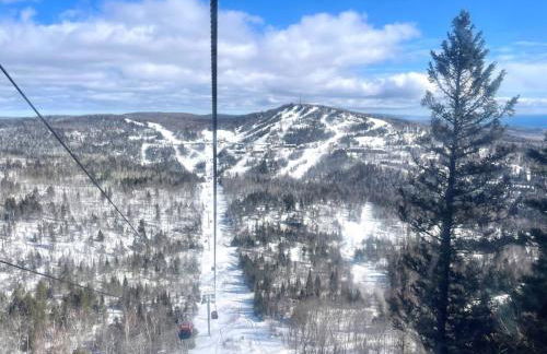 Lutsen Mtn Condo, Ski in Ski out, Pool, Hot Tub, Fitness - Foto 45