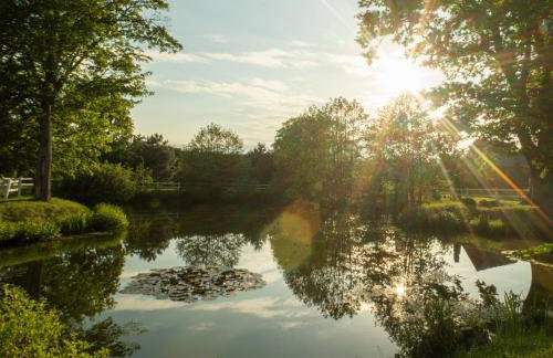 Apartamenty Pod Dębami Stadnina Koni SPA Jezioro i Morze Sarbsk - Photo 13