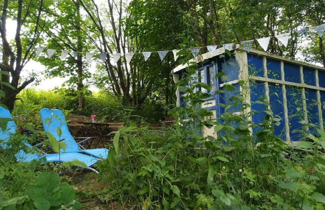 Pilgrims Shepherd's Hut - Goosewell Glynn Glamping - Foto 12
