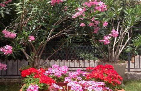 Casa Vacanze All'Orizzonte Duino - Foto 33