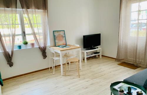 APPARTEMENT T2 GUETHARY CENITZ - Foto 15