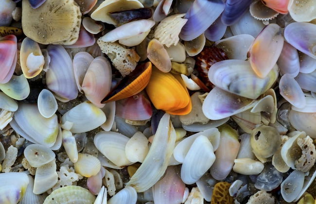 Lovers Key Resort 1201 - Foto 41