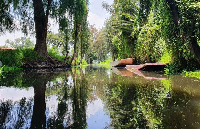 Coyoacán & Xochimilco Small Group Tour - Photo 4