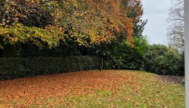 Carpenters Cottage - Foto 5, Garden