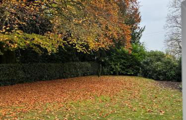 Carpenters Cottage - Photo 5