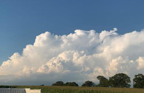 Large Farmhouse near RA, Kohler and Golf. Exclusive amenities and room for all! - Foto 7