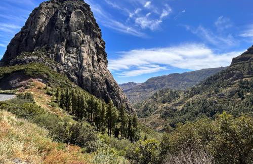 Alquilaencanarias Plaza de Alojera 1 - Foto 13