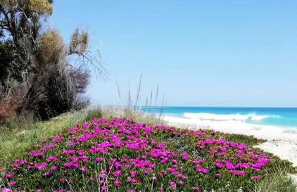 Panoramico, in villa, grande, con ampie terrazze - Foto 15