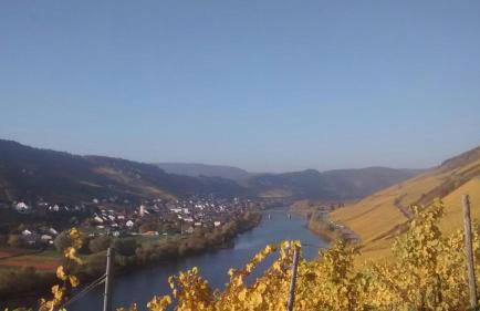 Weingut Matthias Dauns - Foto 45