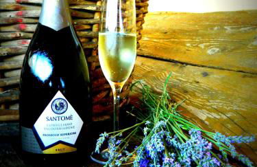 Tenuta Santomè - Foto 48