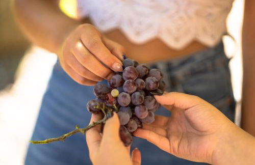 Casa da Cerca - Foto 77