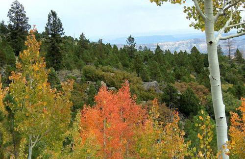 Thousand Lake Lodge at Capitol Reef - Foto 27