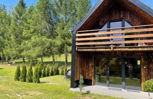 Przystanek Kistówko komfortowe domki z jacuzzi, staw wędkarski, kominek, las, przestrzeń - Foto 50