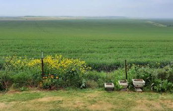 Shirls chalet in Sheppey, Leysdown - Foto 36