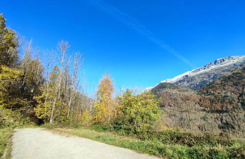 Le Bois Cosy appartement 4 étoiles 6 personnes, ACCES SKI ALPE D'HUEZ GRAND DOMAINE A 3 K M - Foto 19