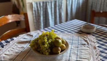 Κτήμα Κουρλή - Foto 3