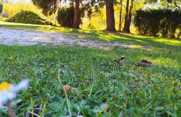 Green House Next - Lovely Apartment for family and Free Parking - Photo 33