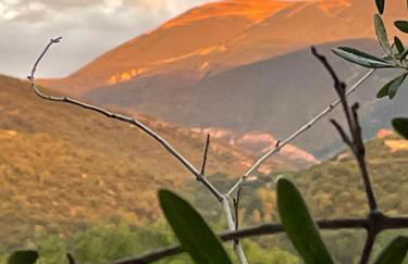 Les Terrasses du Ventoux - Foto 49