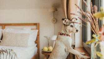 Między lasem, polem a jeziorem - domek na Mazurach - Foto 5