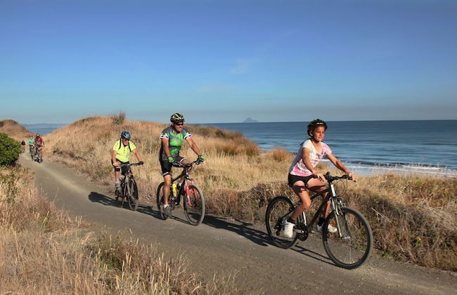 Capeview Cottage - Foto 19