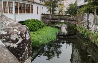 Campo da Torre - Foto 14