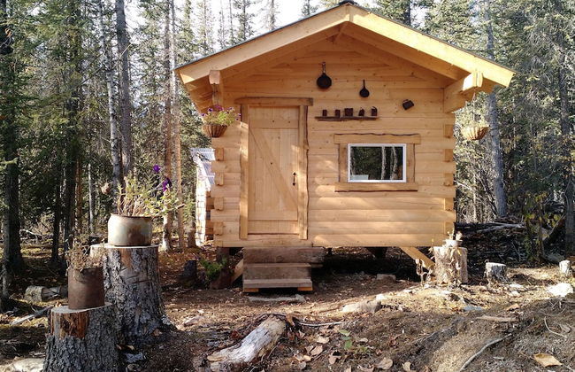 Blackburn Cabins - Photo 21