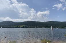 Ferienwohnung Klosterblick - Foto 23