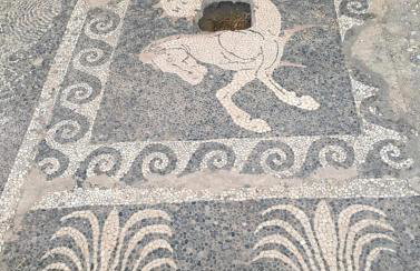 Lavi view apartment - Photo 43