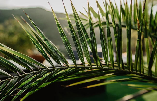 Vila Caelus Masia Boutique - Foto 50