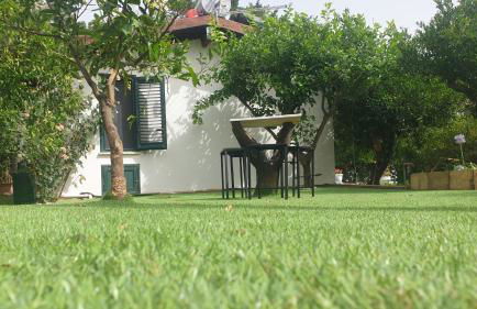 Duplex House - Foto 7