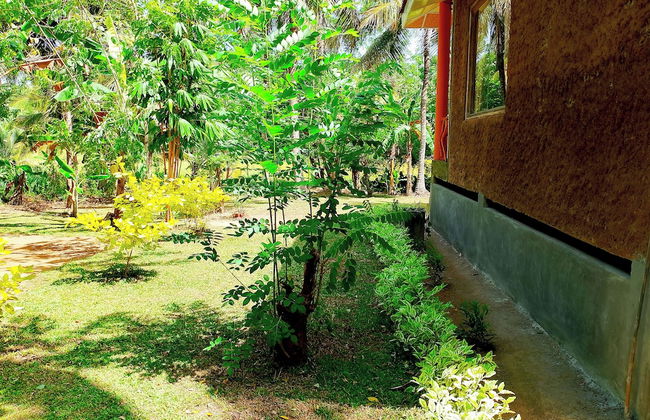 Milk House Cottage Udawalawe - Foto 27